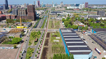 Binckhorst