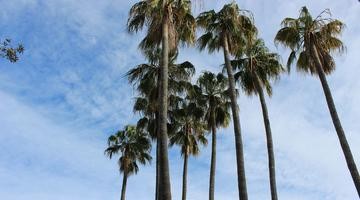 Barcelona EEAB